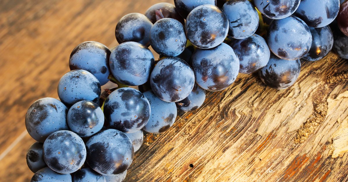 Fördelar med att äta Concord Grapes