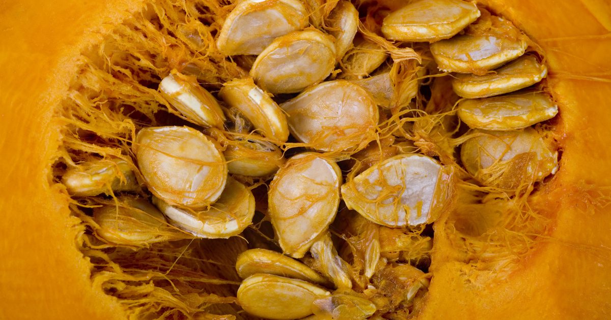 Výhody squashových semen