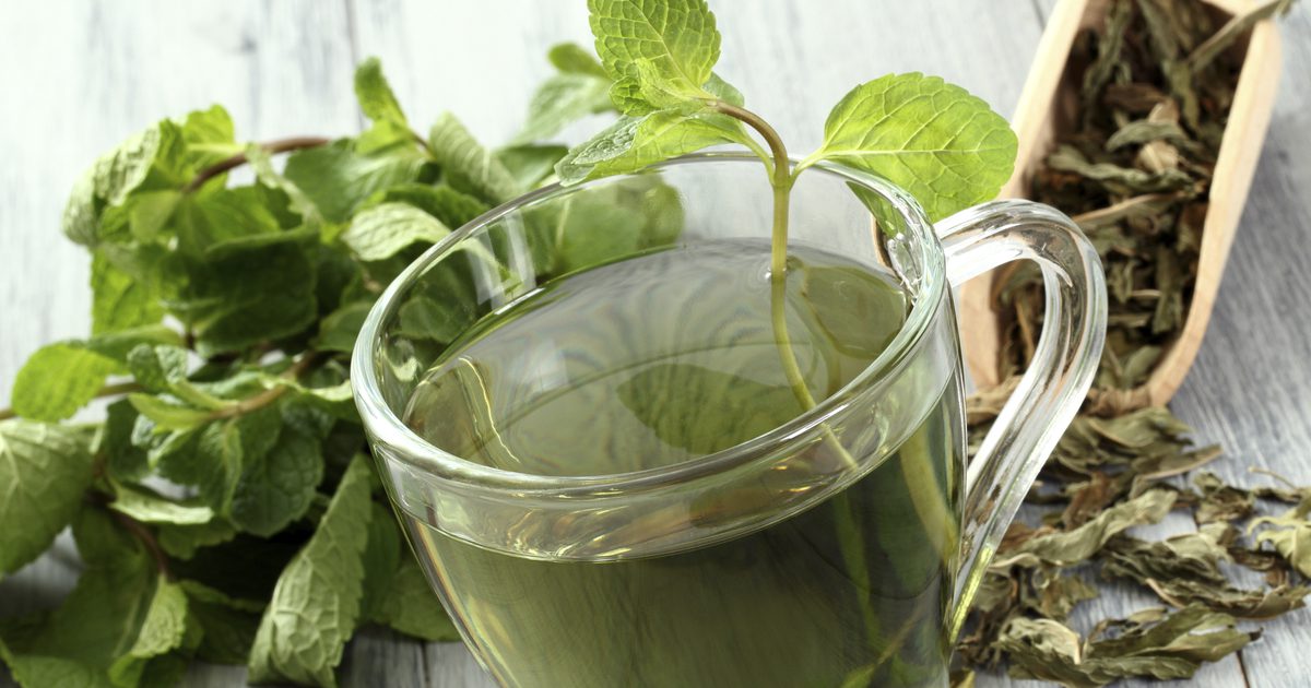 Предимствата на бял чай срещу зелен чай
