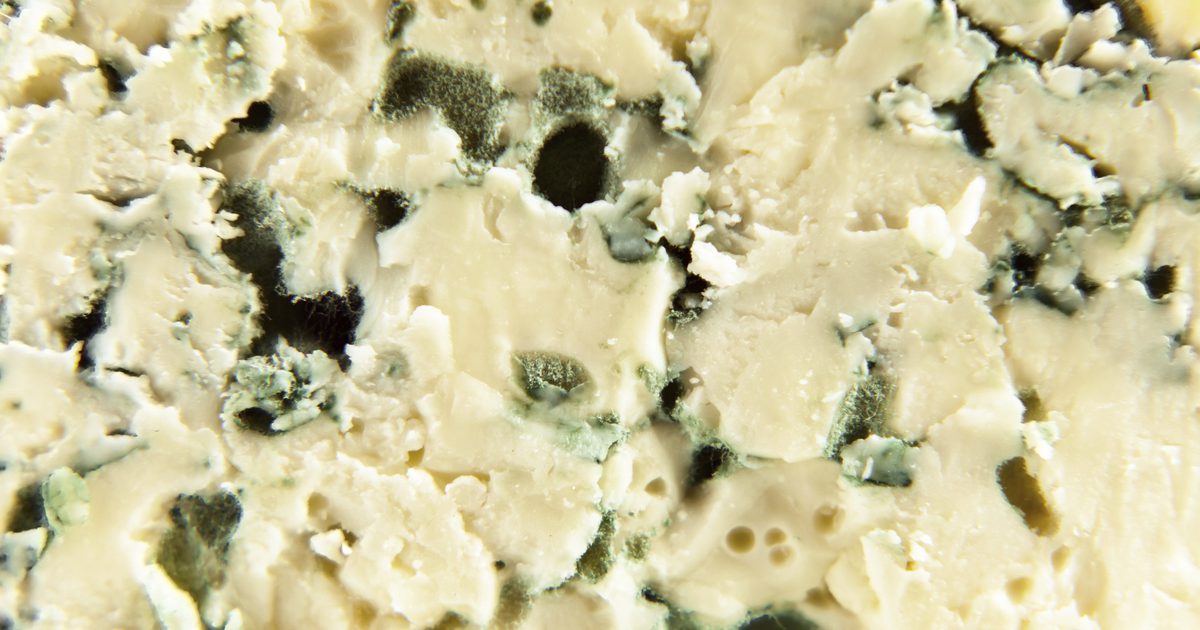 Blue Cheese & Inflammation