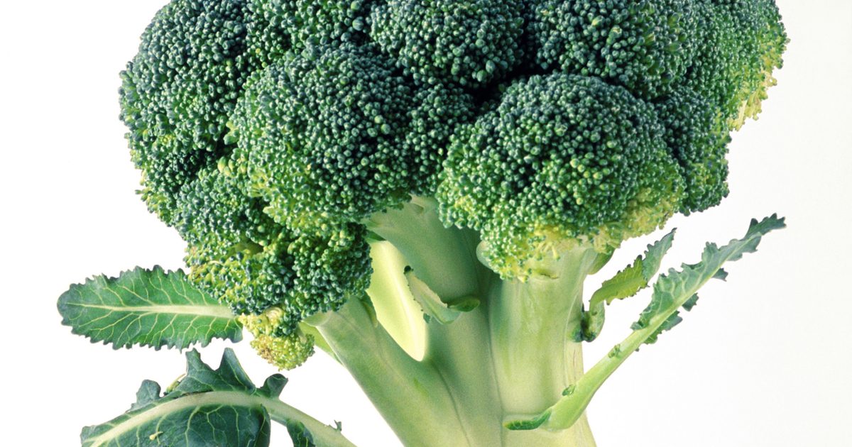 Brokolice a potraviny s vysokým obsahem vápníku