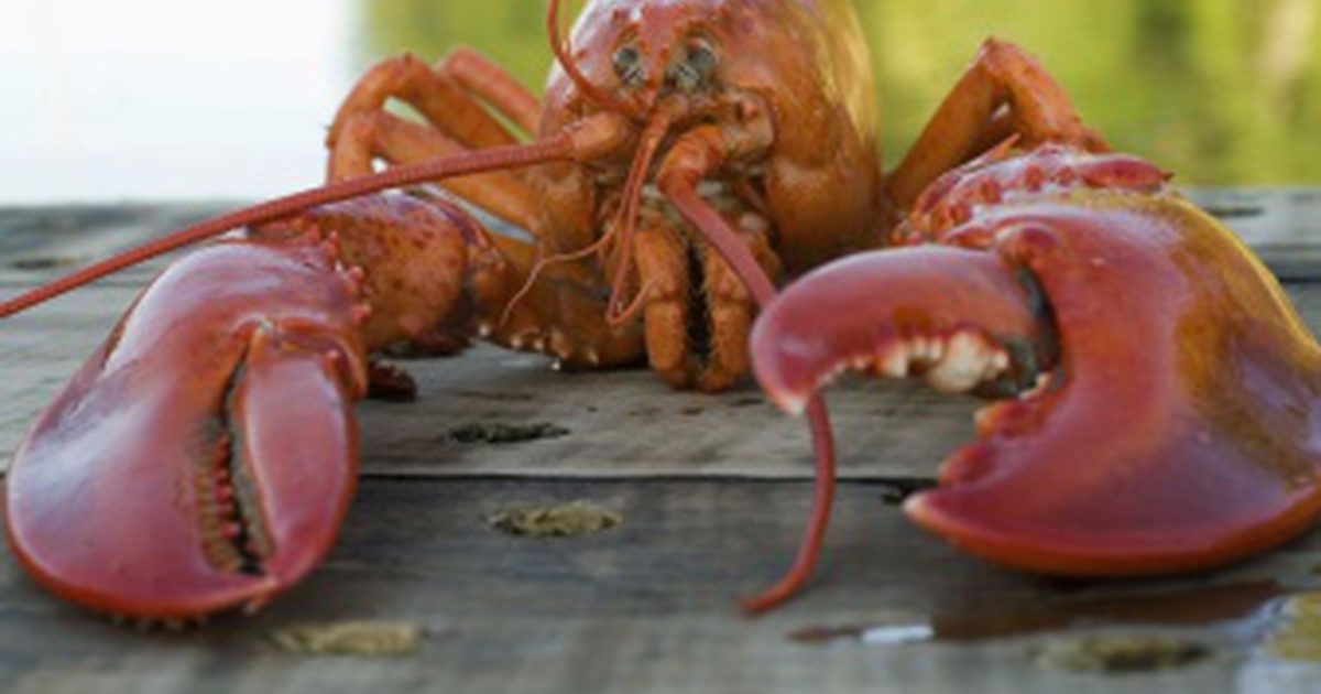 Kaloriene i Red Lobster's Food