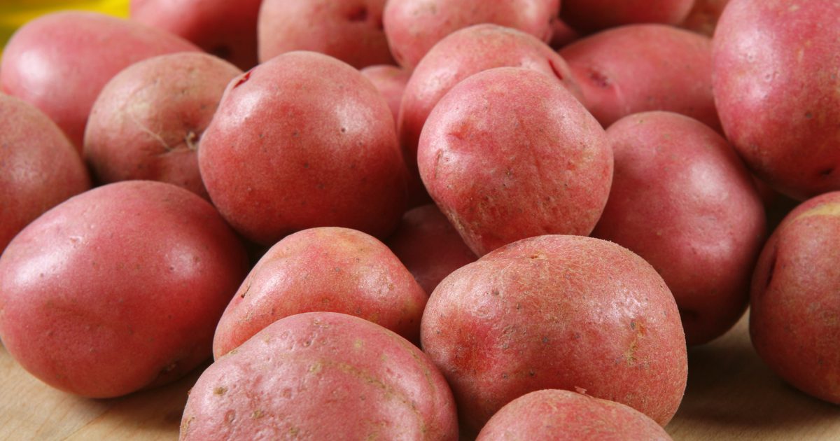 Kalorie v malých červených bramborách