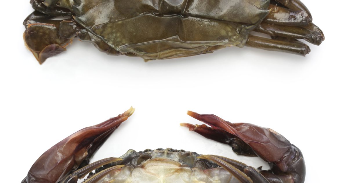 Kalorierne i Soft Shell Crab