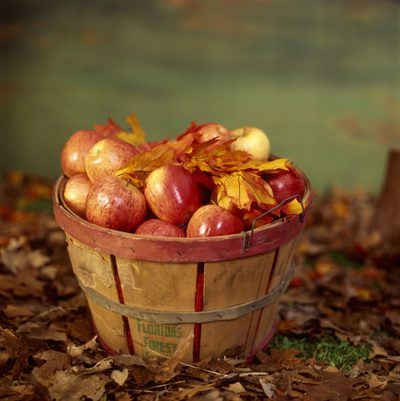 Kan æbler forårsage en allergisk reaktion?