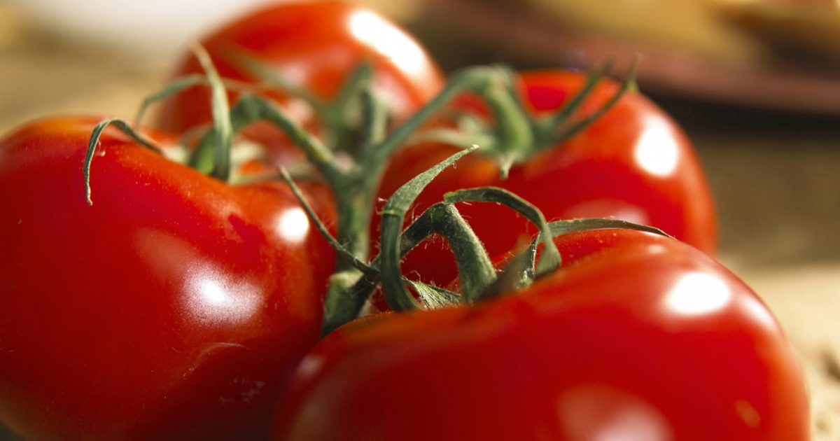 Мога ли да ям домати на диетата с Candida?