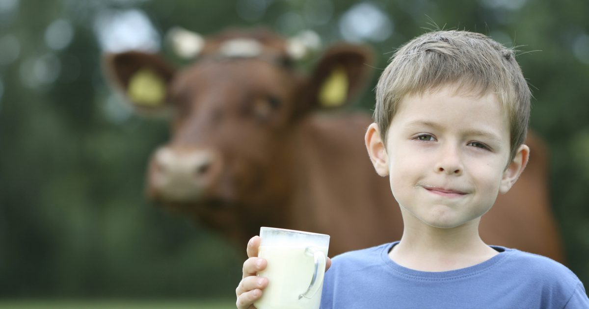 लड़कों में दूध प्रभावित व्यवहार कर सकते हैं?
