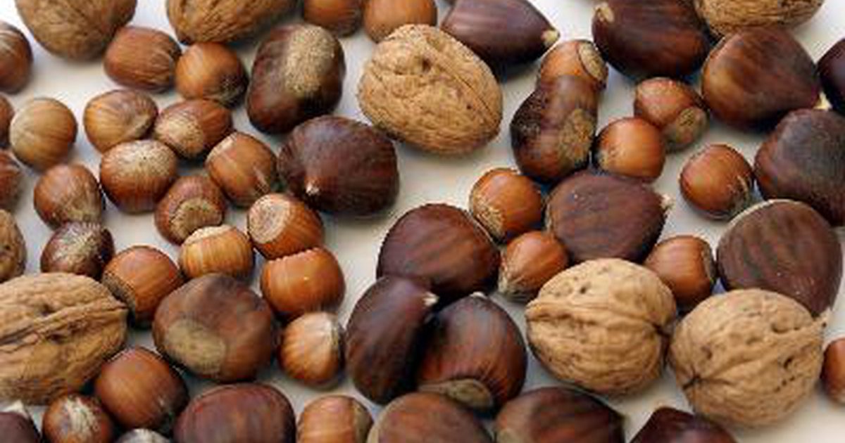 Mohou lidé s dnou jíst ořechy?
