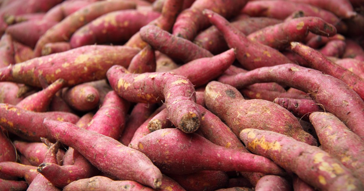 Können Süßkartoffeln helfen, Cholesterin zu senken?