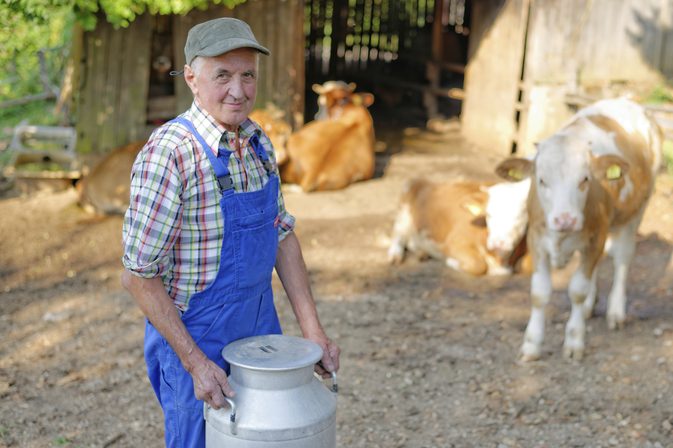 يمكنك شرب الحليب مباشرة من البقرة؟