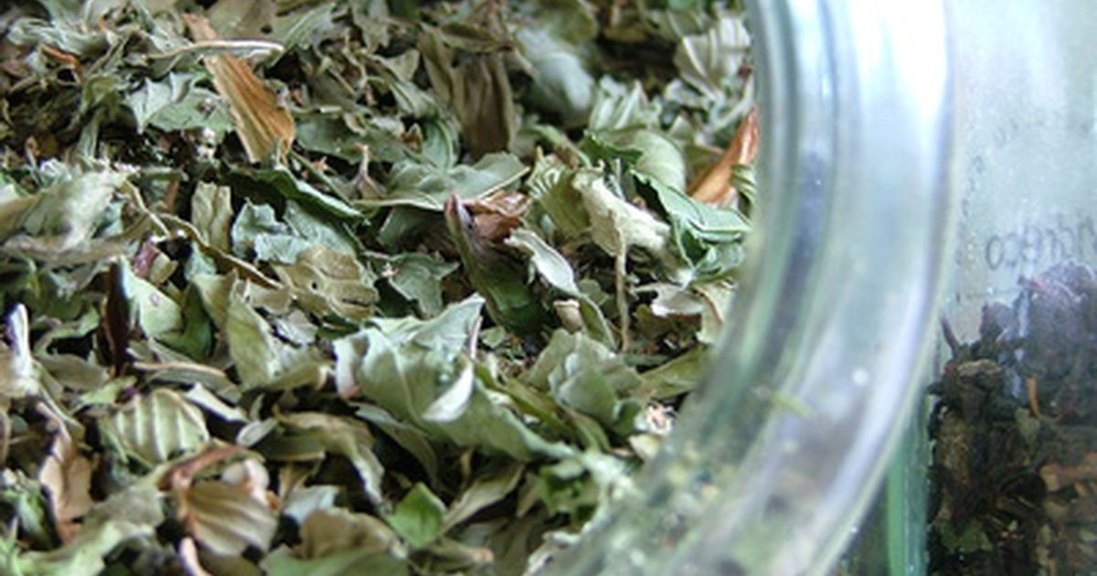 Můžeš se zbavit úlů zeleným čajem?