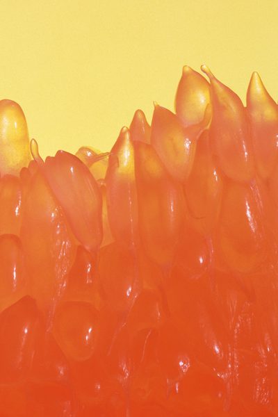 Рак и грейпфрут Екстракт от семена