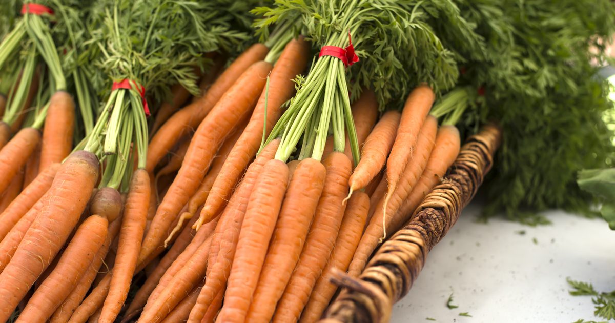 Carrot Dieta