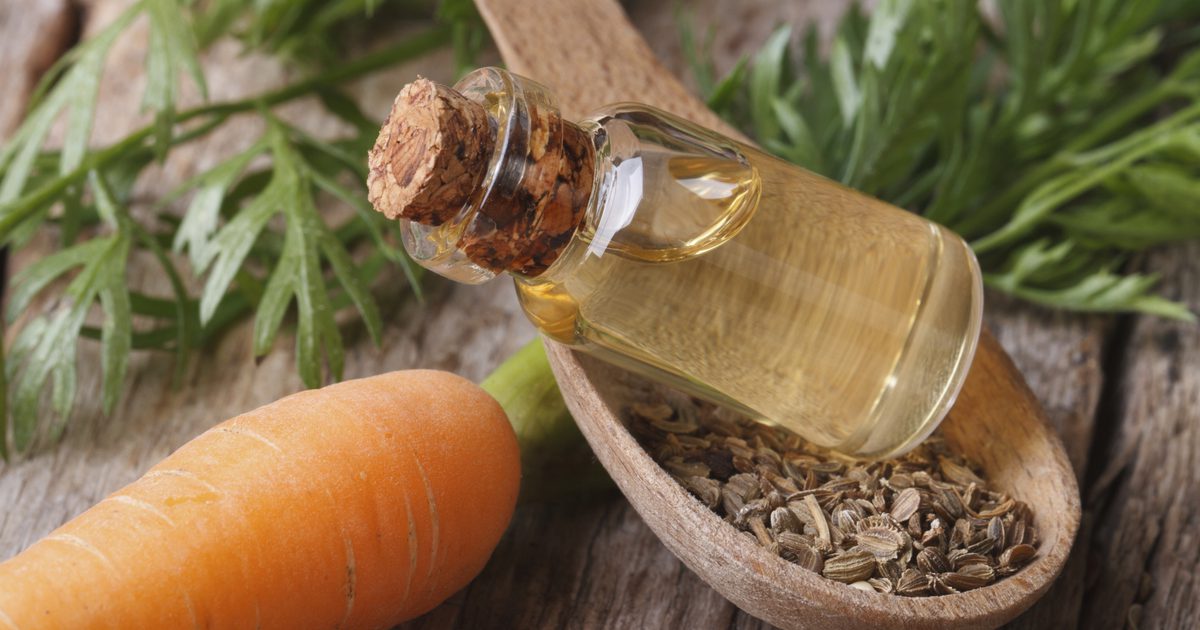 Морковное масло как средство для кожи