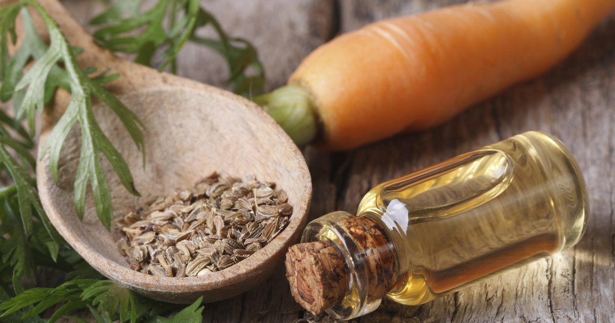 Carrot Seed Oil Risici