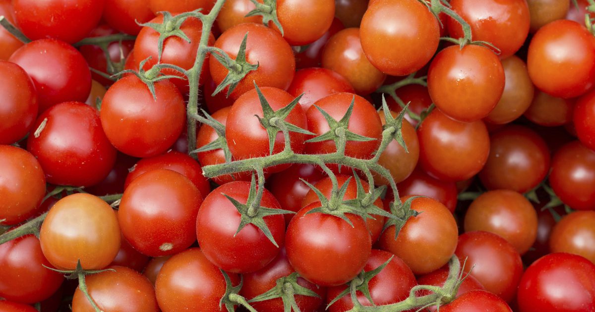 Informácie o výžive cherry paradajok