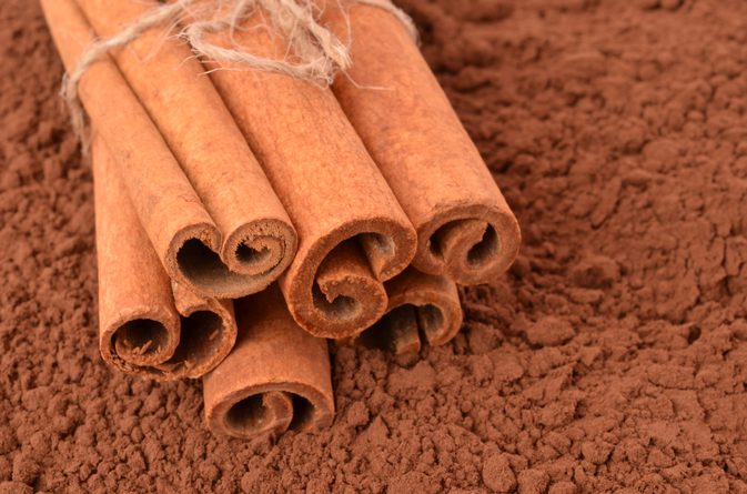Cinnamon Extract Vs. Gemalen kaneel