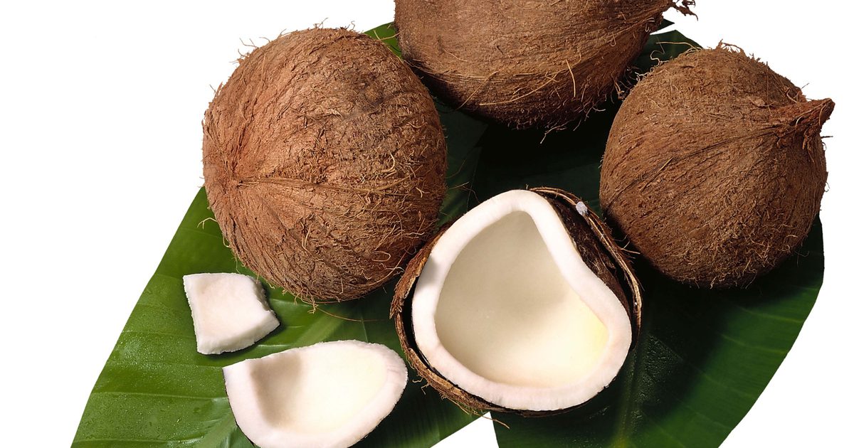 Kokosový olej a žlučník