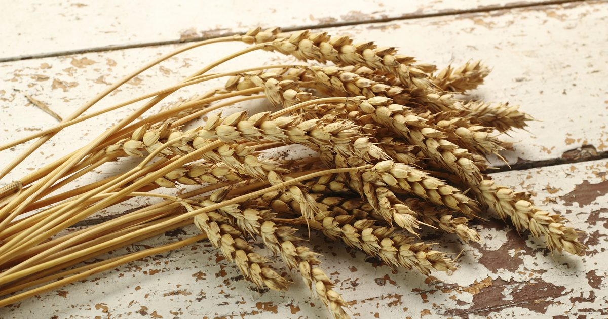 Крекирана пшеница Хранене