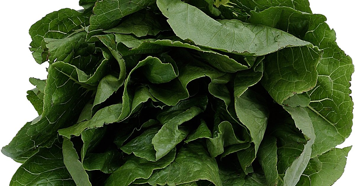 Het verschil in voedingsstoffen tussen Collard Groenen en spinazie