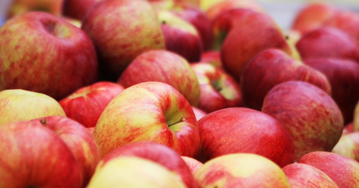 Helfen Ihnen Äpfel, Gewicht zu verlieren?