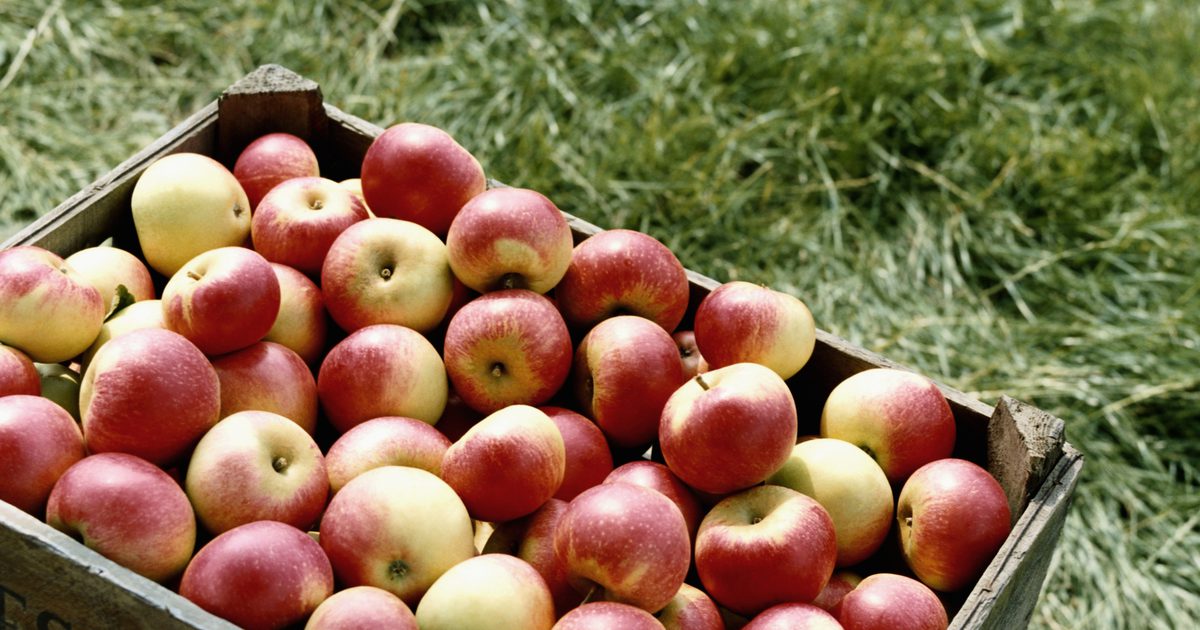 Jablka zvyšují váš krevní cukr?