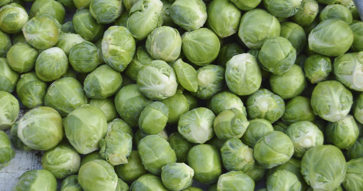 Ali Brussel Sprouts povzroča urinom vonj?