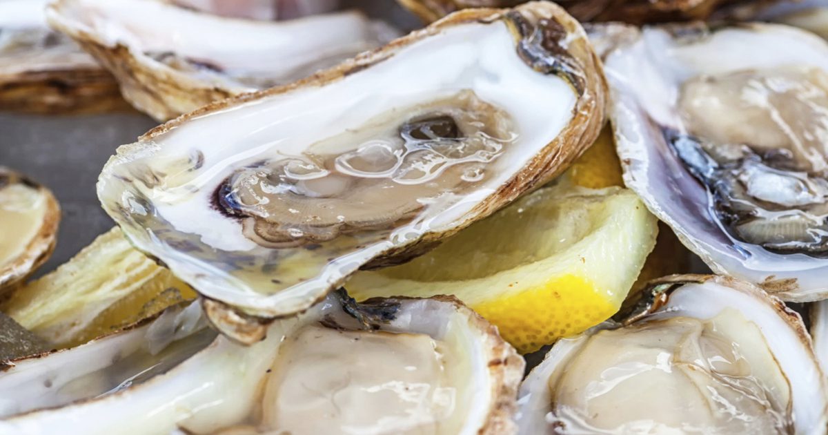 Verlieren konservierte Austern Nährstoffe?