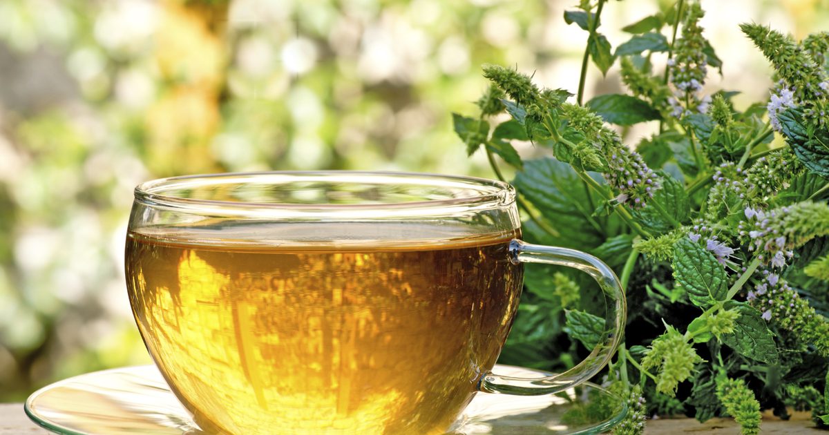 Czy ziołowe herbaty zawierają kofeinę?