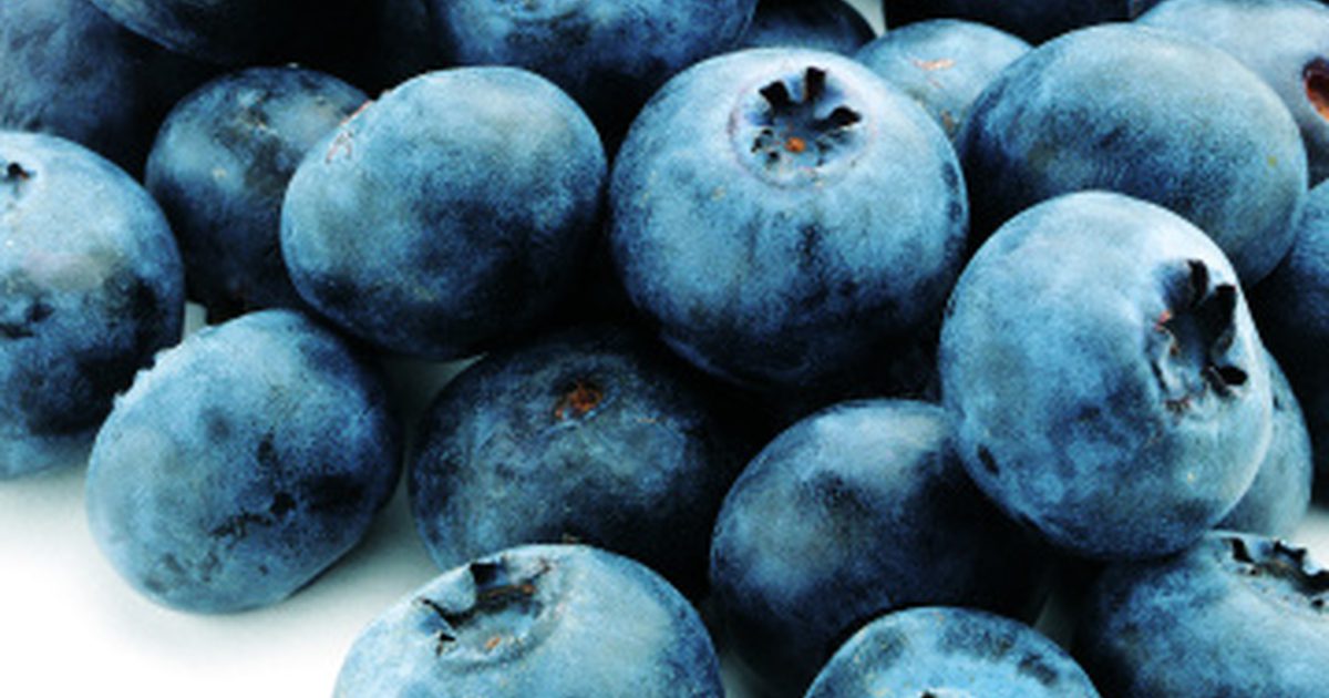 Má Blueberry Juice rovnaké výhody ako samotná čučoriedka?