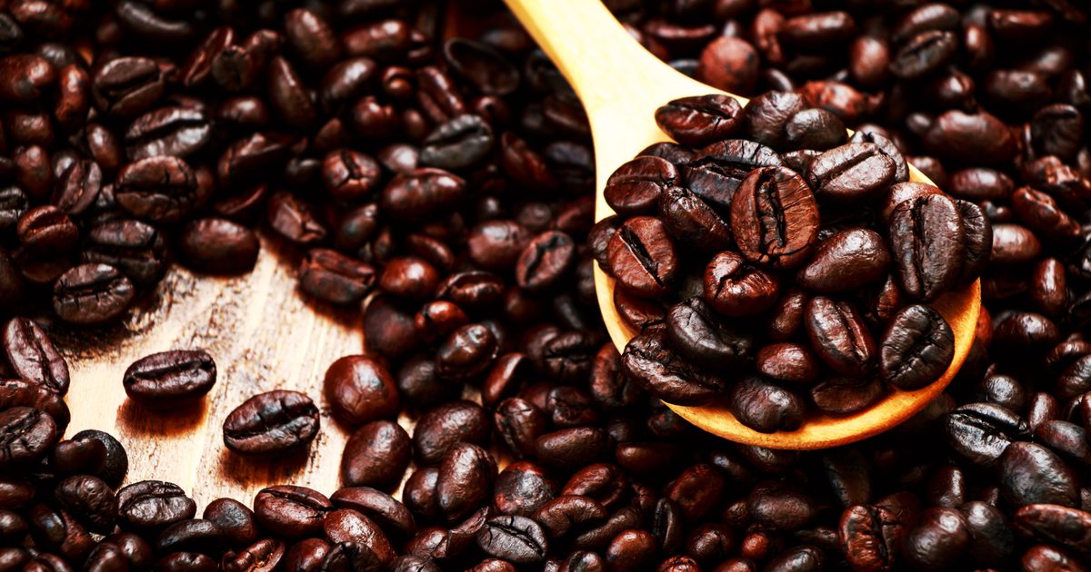 Påvirker koffein bakterier?