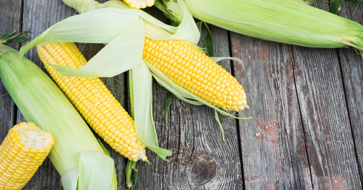 Ger Corn på Coben alla essentiella Aminosyror?