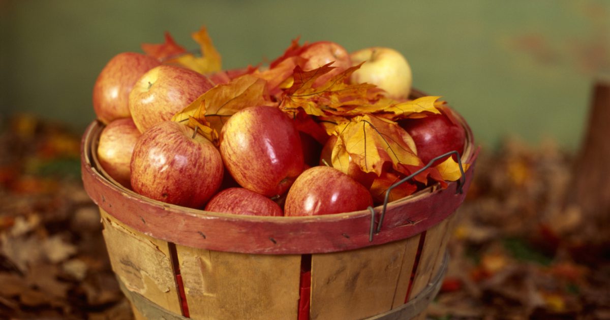 هل شرب عصير التفاح الخل بعد كل وجبة حقا حرق الدهون في البطن؟