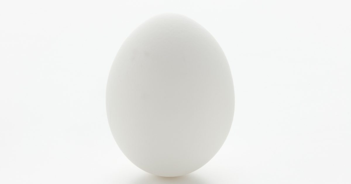 Spiser æggende æg vægt og højde?
