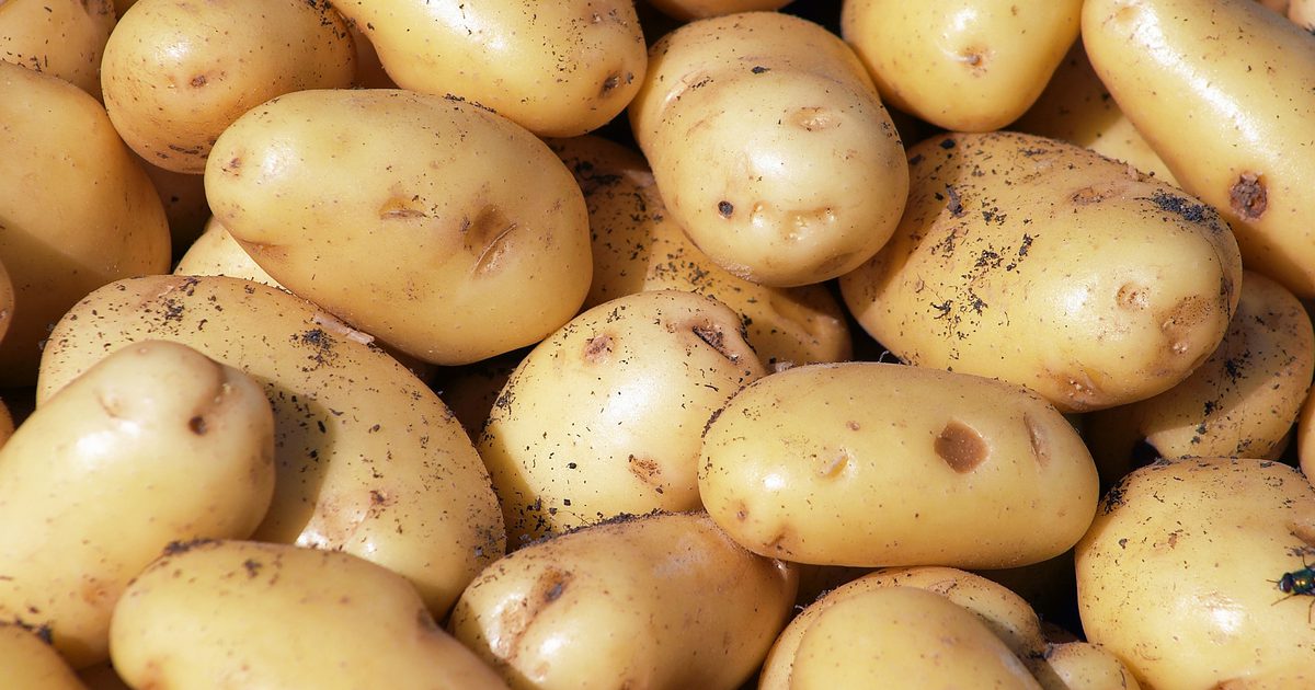 Gör Nuking a Potato Kill Enzymer eller näringsämnen?