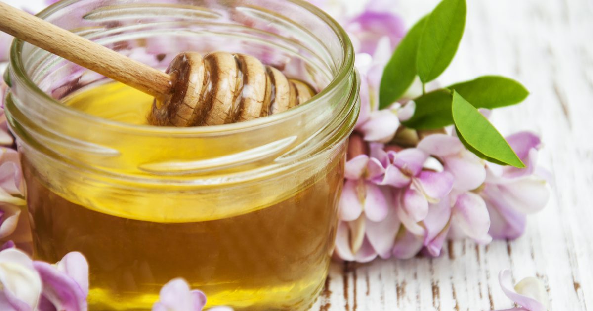 Gælder Pasteurization of Honning Antioxidanterne?