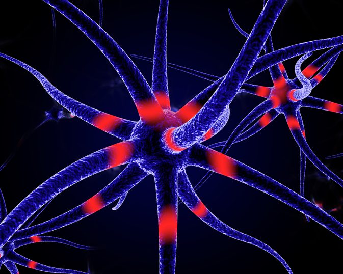 Ali natrij vplivajo na možgane?