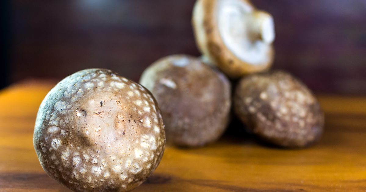 Sušené houby Shiitake