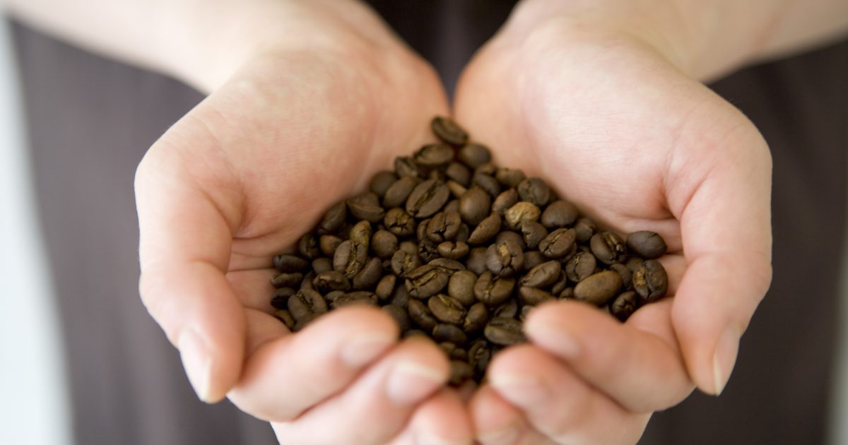 Účinky konzumácie kávových zŕn