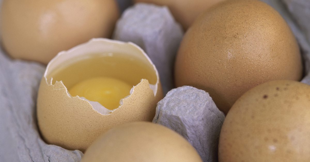 Žloutnutí vajec a lipidů