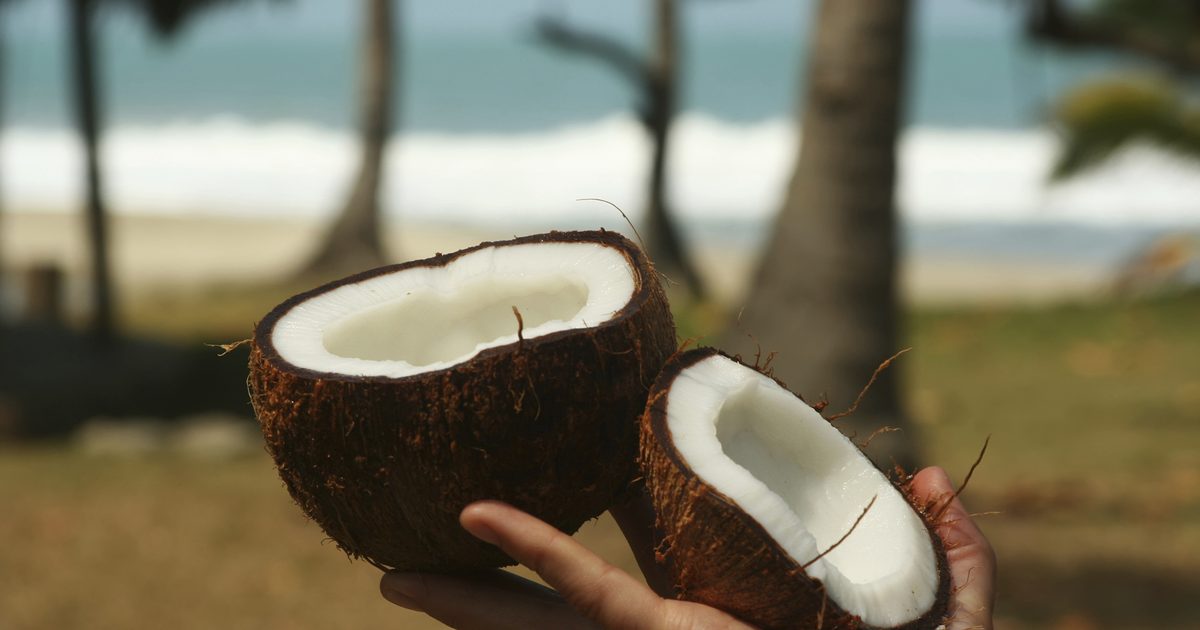 Elektrolyty v kokosové vodě