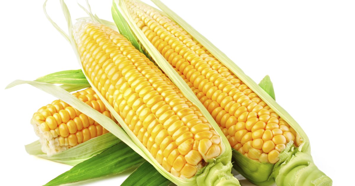 Примеры продуктов ГМО