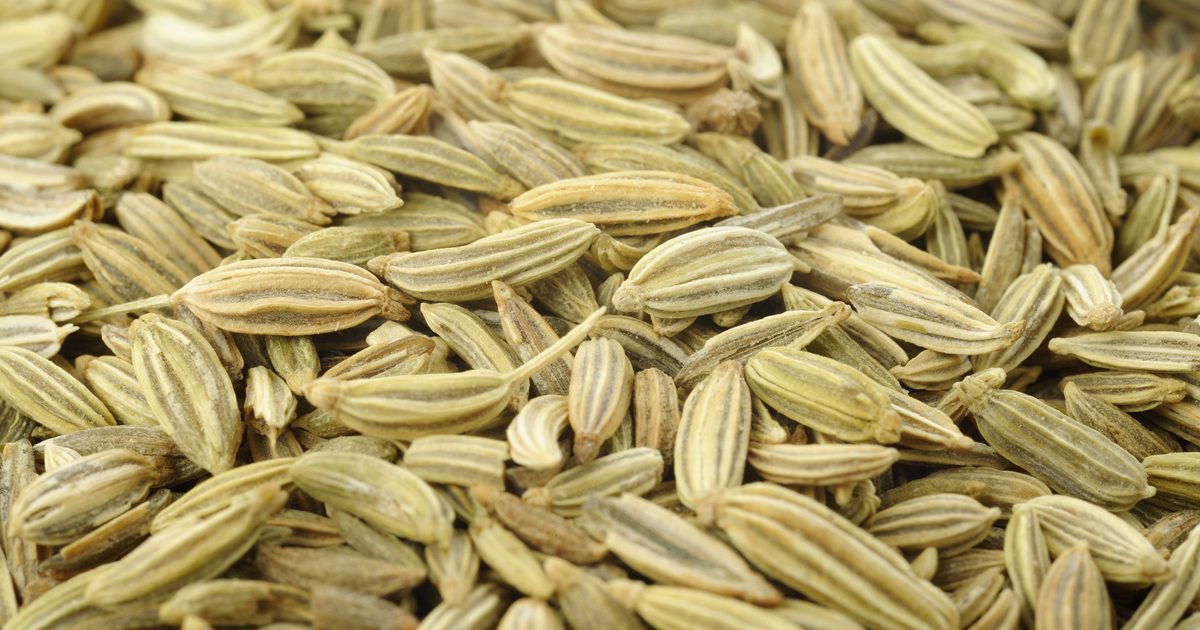 Nežiaduce účinky fennelových semien