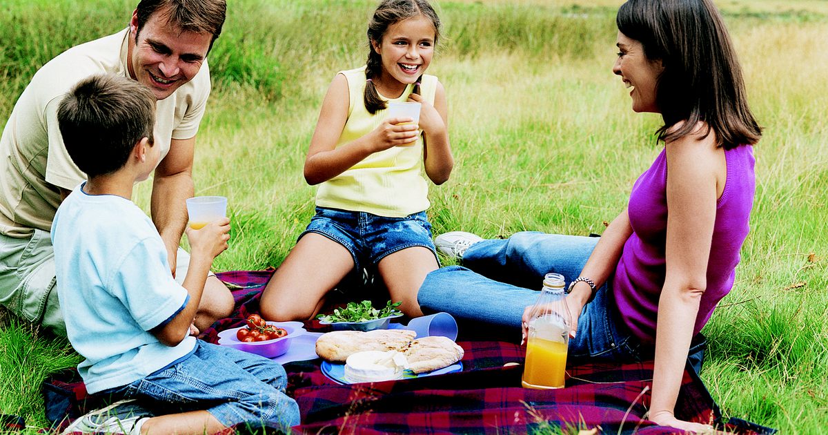 Mat å ta med til en picnic