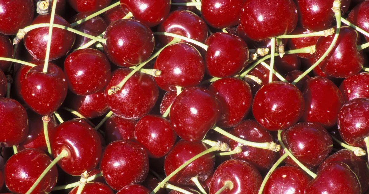 Sveže Bing Cherries prehranske informacije