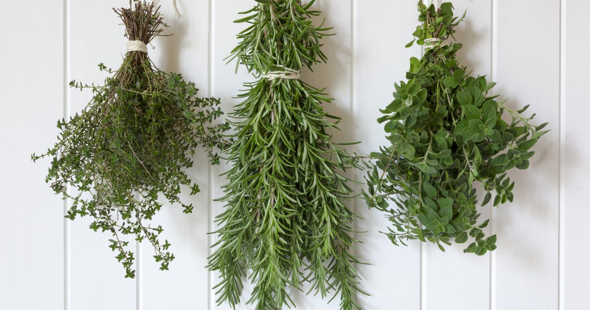 Fresh Herbs vs. Suszone substytucyjne zioła