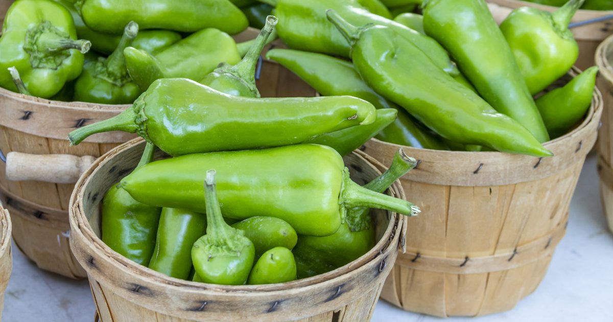 Green Chile Nutrition