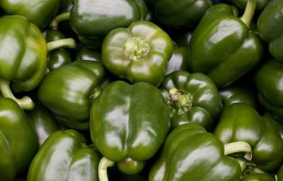 Information om grön paprika