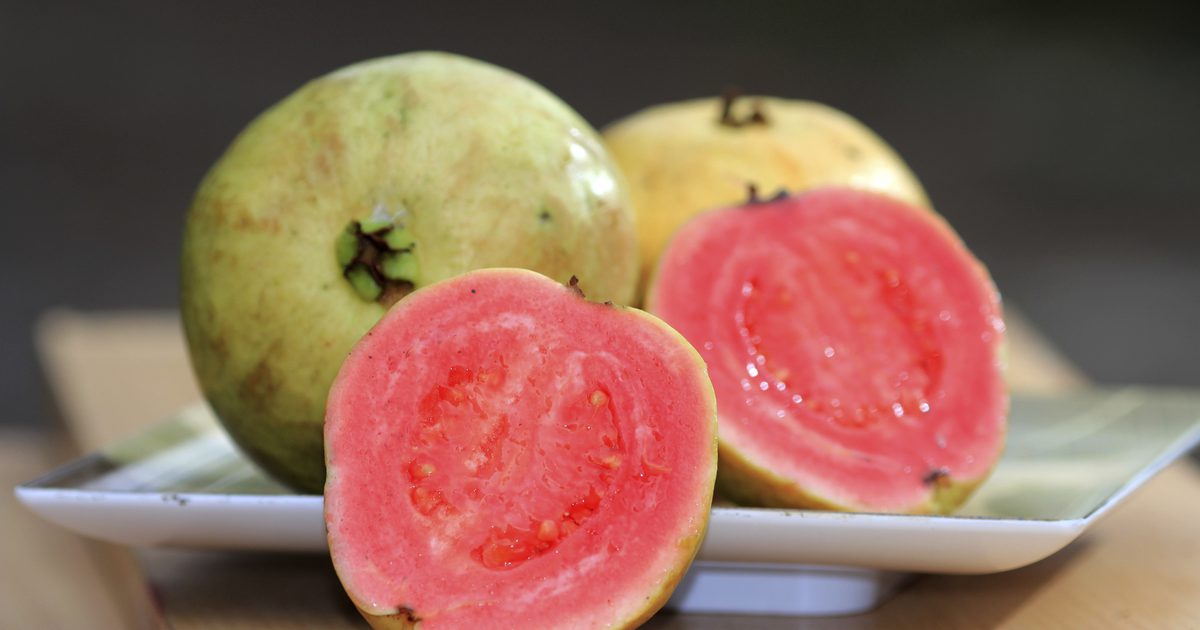 Guava ernæring