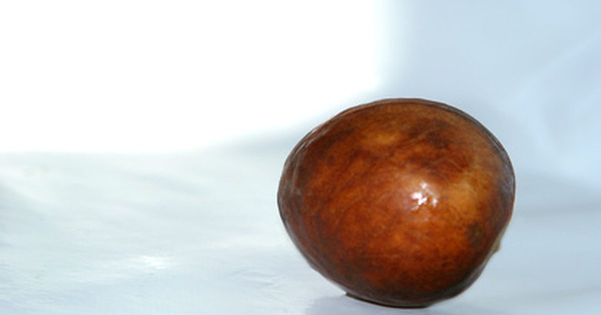 Польза для здоровья семян авокадо